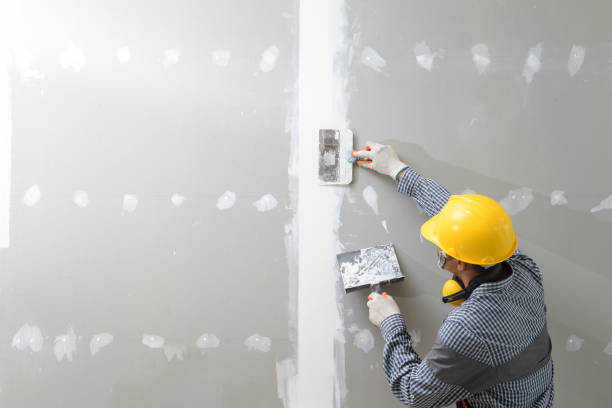 Best Real Estate Mold Inspection  in Myrtle Creek, OR