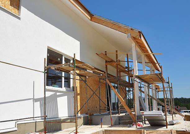 Best Black Mold Removal  in Myrtle Creek, OR